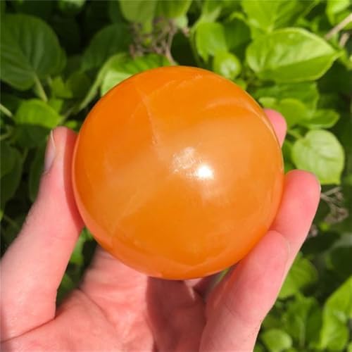 1 5-6cm IWΐ XgCv΋ Ƃ̑p