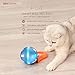 BENTOPAL Wicked Ball Smart Interactive Toy for Cats and Dogs Automatic Rolling USB Rechargeable Two Running Modes with Colorful Lights Durable Self Rotating Gravity Sensor Fun Gift for Cats & Dogs