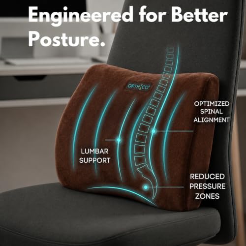 Image of Lumbar Support Back Cushion, Brown | Ergonomic Lower Back Support, Back Pain Relief, For Car Seat & Office Chair, Portable Backrest