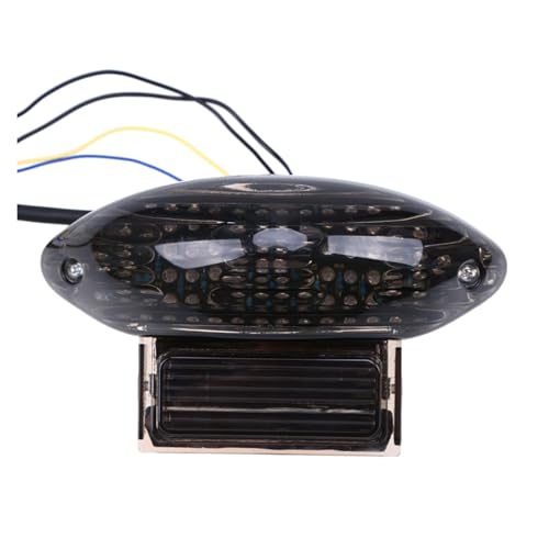 Clignotants de moto fumés LED pour rouler en toute sécurité de nuit et par temps de pluie