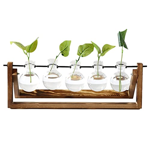 QYEW Stations de Propagation des Plantes | Terrarium pour Plantes avec Support en Bois,Vase en Verre à 5 Ampoules pour planteur d'air de Bureau, pour Plantes Aquatiques hydroponiques, Accessoires de Cover