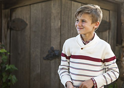 Hope & Henry Boys' Tan And Red Striped Sweater With Shawl Collar #TOP4