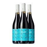 Verónica Ortega Quite Mencía Bierzo Joven 75 cl Vino tinto (Caja de 3 Botellas de 75 cl)