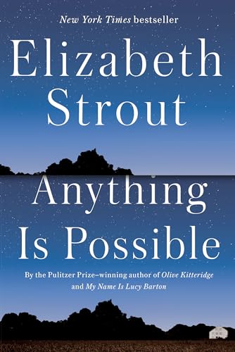 Anything Is Possible view 2