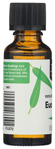365 By Whole Foods Market, Essential Oil, Eucalyptus, 1 Fl Oz #TOP3