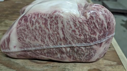 ˋ A5 T[C |ς 10Kg s ؖt Ⓚ Ɩp