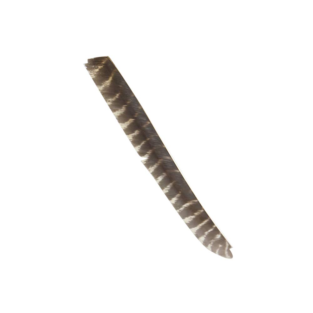 30pcs Plume de Flèche Empennage de Flèche Toute la Longueur Plumes de flèche Enroulement Spiral Fletches de Naturelles pour Les Flèches de Bricolage