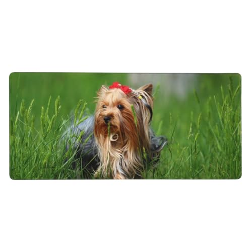 Tapis de souris Yorkshire mignon pour bureau setup gaming et télétravail confortable