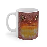 Lovesout Big Face Tomato Frog Mug
