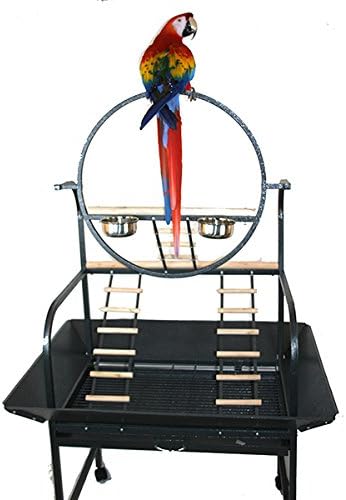 Extra Large O Wrought Iron Stand for Medium or Large Parrot Amazon Cockatoos Macaws Play Gym Ground Seed Skirts(Black Vein)