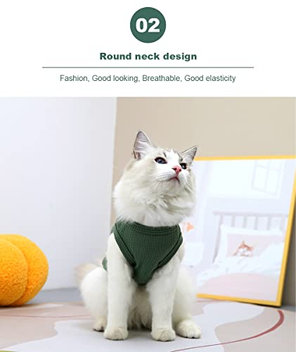Cat Clothes, Kisold Pet Cat Clothes Chic Bear Casual T-Shirt Apparel For Cat Kitten Puppy For Spring And Summer, Pink, S #TOP6