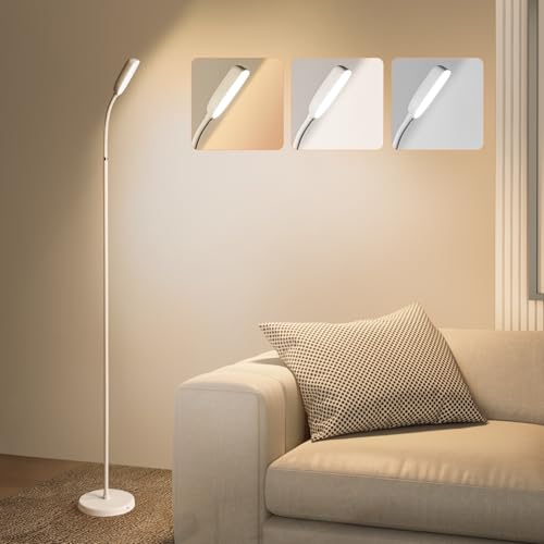 Cordless Portable Floor Lamp, Adjustable Gooseneck Touch