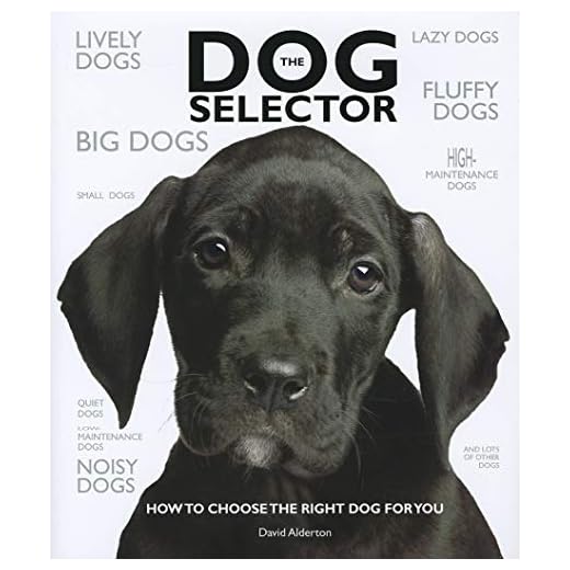 The Dog Selector: How to Choose the Right Dog for You