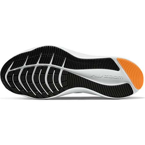 Image of Nike Mens Zoom Winflo 7 Running Shoe