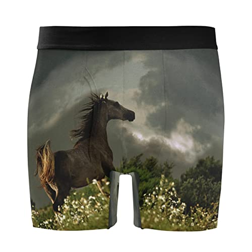 Bóxer para hombre ultrasuaves pack de 2 calzoncillos con ropa interior elástica