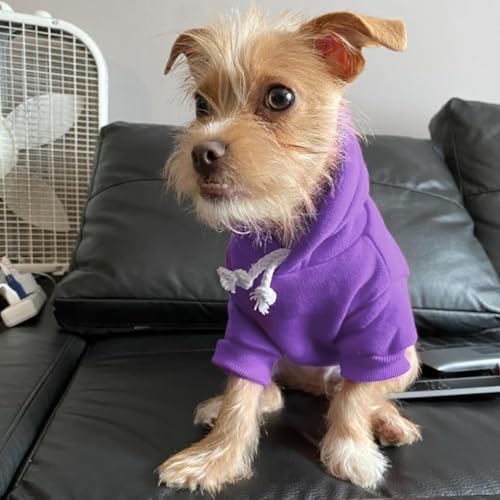 BINGPET Dog Hoodies - Fleece Lined Fall Dog Puppy Sweatshirt Soft Warm Sweater Winter Hooded Clothes for Small Medium Large Dogs & Cats — view 6
