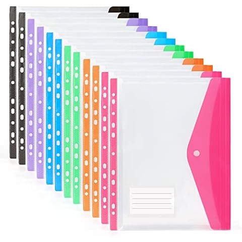 Punched Folders with Plastic Pockets - 12 Pack Expandable A4 Folders with Label Pocket, 11 Holes Multicolor Plastic Documents Folder Envelope File Popper Wallets for School Home Office Cover