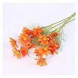 Wird verwendet, um Ihr Haus zu dekorieren, um eine spezielle festliche Atmosphäre zu schaffen und eine unvergessliche Partei zu machen.