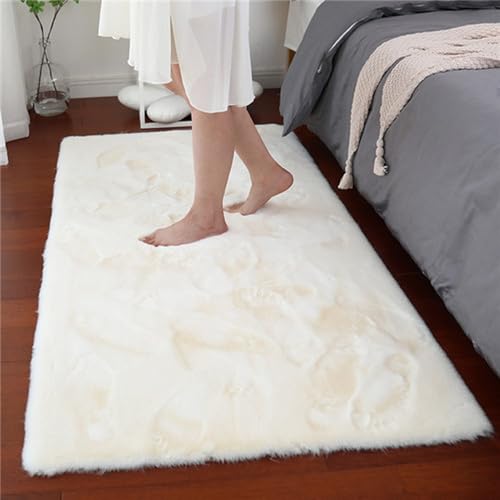 Tapis lavable en machine doux et moelleux pour la maison