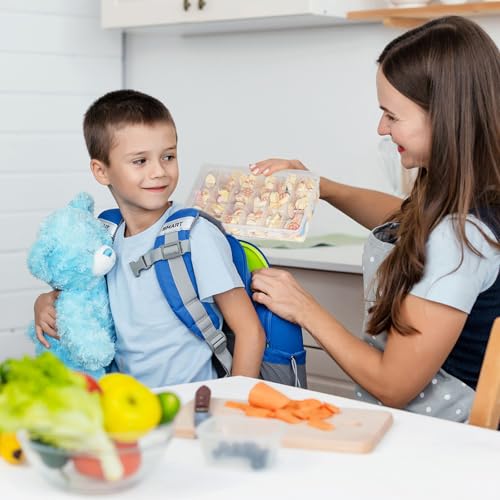 TAIXING 2 Stück Snackbox mit Fächern, Snackbox Kinder mit 18 herausnehmbaren Fächern, Transparente Snackteller mit Deckel Snackschale für Schokolade, Chips, Nüsse, Kekse, Bonbons, Kleinigkeiten