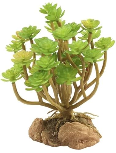 Zoo Med BU-76 Tree Houseleek Desert Flora Terrarium Plant thumb #1