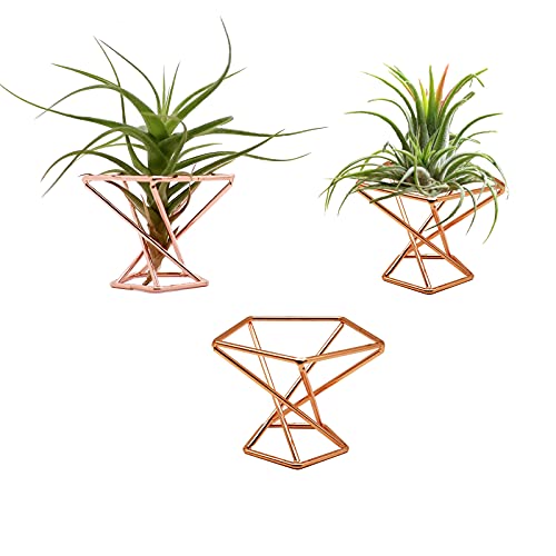 Comparison: Best Containers For Air Plants 6 Nwsrayu Geometric Air Plant Holder Airplants Rack Metal Plants Stand Planter Shelves Himmeli Living Decor Tillandsia Pot Containers (Rose gold 3pcs)