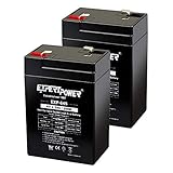 Expertpower Expertpower 6 Volt 4.5 Amp Rechargeable Battery (exp645), 2 Count