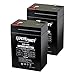 ExpertPower 6 Volt 4.5 Amp Rechargeable Battery (EXP645) 2 Pack