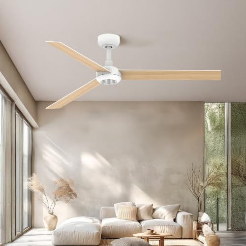 Image of TALOYA 52 inch Ceiling Fan,White Finish,6-Speed,Dimmable,Noiseless,Reversible DC Motor,3 blades