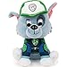 PAW Patrol - Peluche Rocky Dal Film - 15 CM