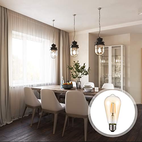 Hession Vintage Edison Led Bulb, 6-Pack St58 E26 Base 40 Watt Equivalent, Warm White 2200K-2700K, Antique Vintage Style Light, Squirrel Cage Filament Edison Light Bulbs Amber Glass, Dimmable #TOP6