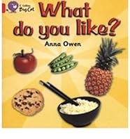 Xbig Cat What Do You Like Red 0007750234 Book Cover