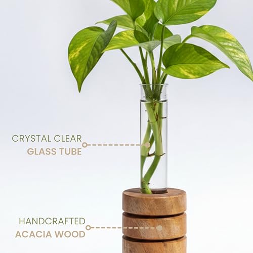 Image of Pilwal's Grooved Wooden Test Tube Vase | Big Test Tube Design for Cuttings & Hydroponics | Minimalist Wooden Planter | Modern Flower Stand | Unique Home Office Decor Gift. (Grooved Design)