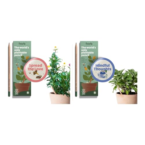 Crayons à planter SproutWorld lot de 16 | Crayon graphite biodégradable bois naturel sans plomb