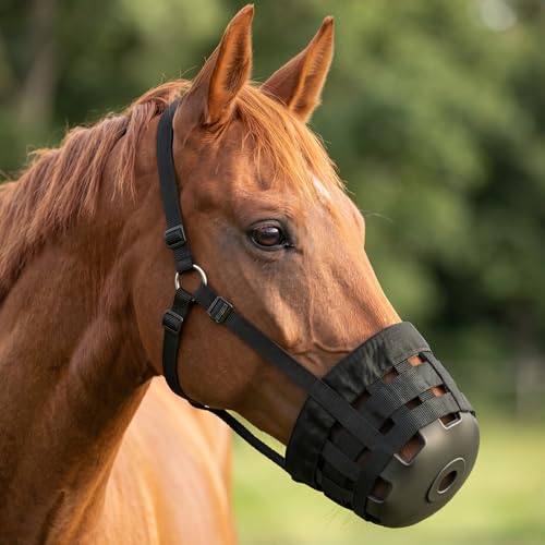 Gilprop Standard Breathable Black Horse Grazing Muzzle with Halter Soft Rubber Anti-Bite Muzzle Breathable Slow Feed Horse for Easy Breathing and Comfortable Grazing Control (L/Full)
