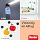 GAUDER Magnete für Magnettafel - Starke Tafelmagnete für Whiteboard, Pinnwand, Kühlschrank & Büro - Runde, Schwarze Kühlschrankmagnete mit hoher Haftkraft (62 Stück - 18 x 5 mm)
