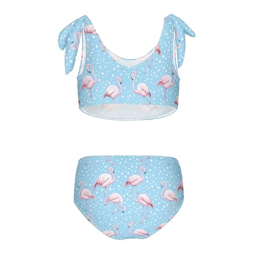 Wusikd Flamingo Cute Girls Swimsuits Two Piece Cartoon Blue Swimwear Bikini Set for for Girls Size 3T2