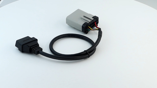 Amazon.com: YPP RP-1226 14 Way to 16 pin OBD ii Female ELD Cable