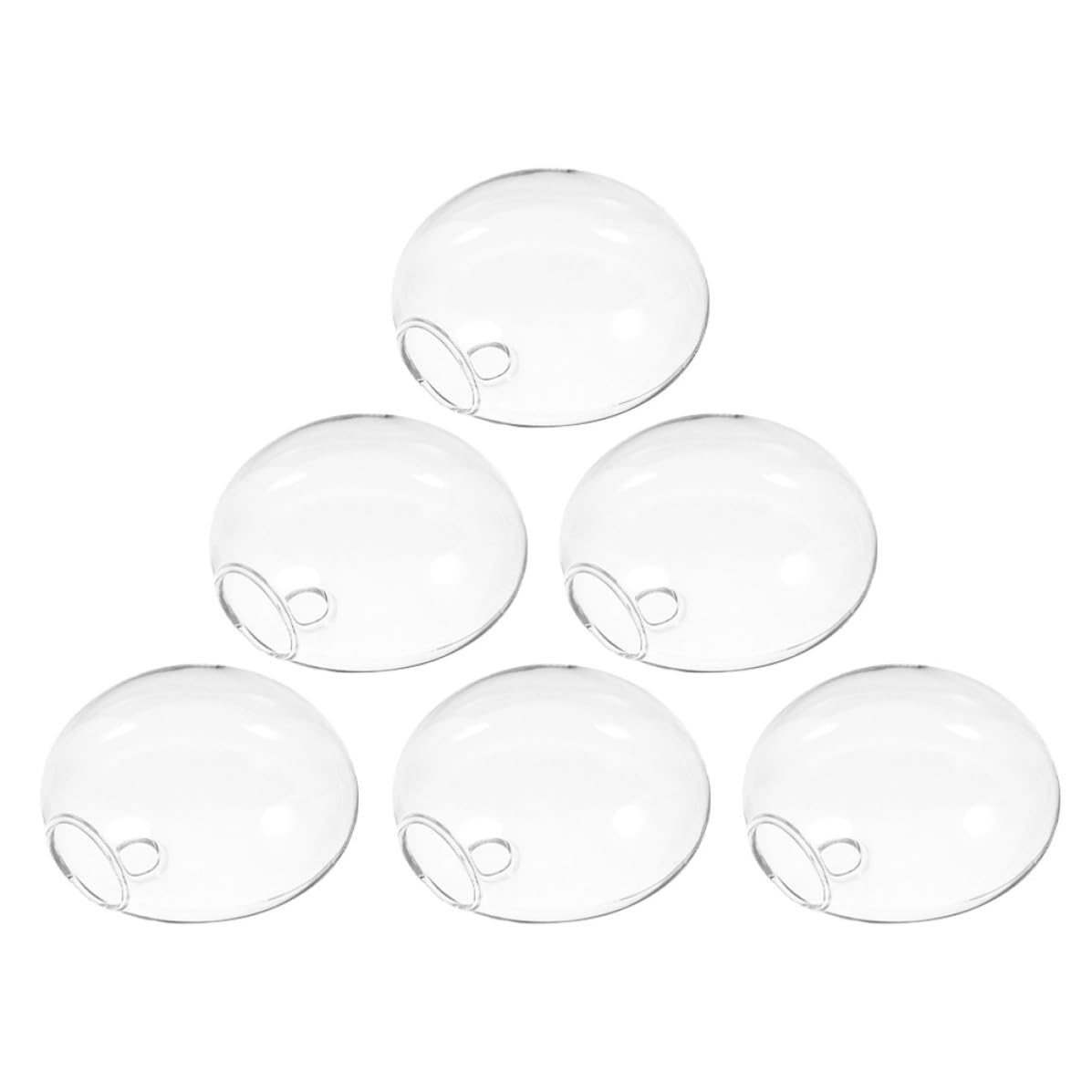 Jardinière hydroponique succulentes et petites plantes en pot en verre transparent