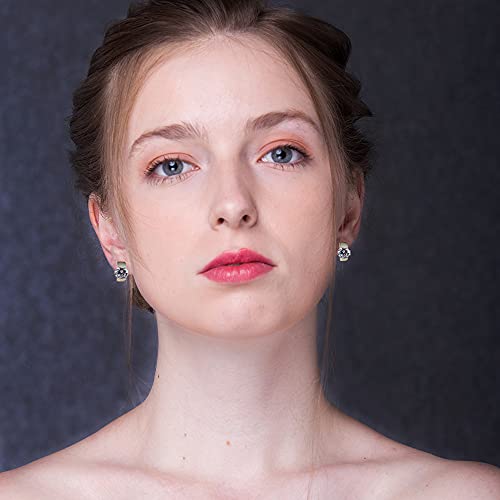 Sterling Silver Hoop Earrings, Hoops CZ Cubic Zirconia White Gold Plated Huggie Hoop Earrings for Women Gift 1.2 ct3