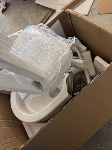 Vipbear Tankless One-Piece Toilet with heated seat