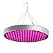 Produktbild Explosion Modelle 50W Pflanze Lampe Wachstum Lampe Sämling Lampe gesamtes Spektrum Pflanze Lampe neue Gärten Aufhellblitz QTDS (Color : One)