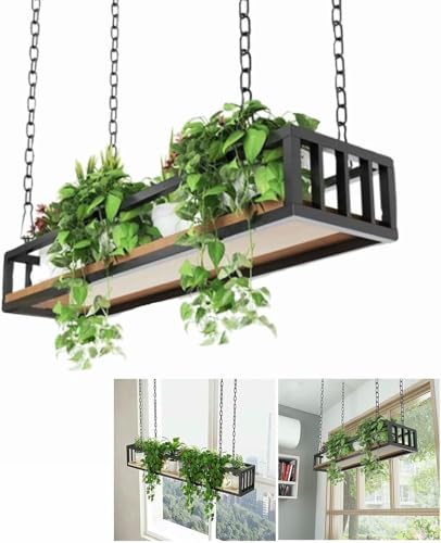 Étagère de plafond pour plantes afin de libérer de l'espace