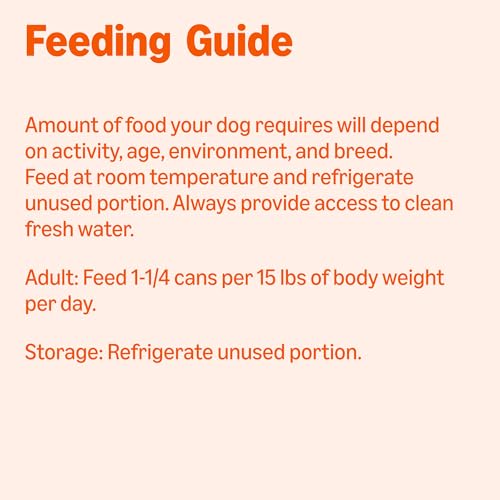 Image of Amazon Basics Wet Dog Food, Cuts in Gravy Filet Mignon Flavor, Made with Real Chicken and Beef, 13.2 oz can (Pack of 12)