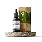 Secrets Of The Tribe - Umckaloabo Tincture Alcohol-Free Extract, Wildcrafted Umckaloabo (Pelargonium...