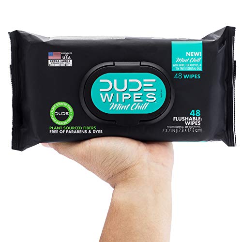 DUDE Wipes Flushable Wet Wipes Dispenser, Mint Chill, 48 Count (Pack of 3) Scented Wet Wipes with Vitamin-E, Aloe, Eucalyptus & Tea Tree Oils for at-Home Use, Septic and Sewer Safe