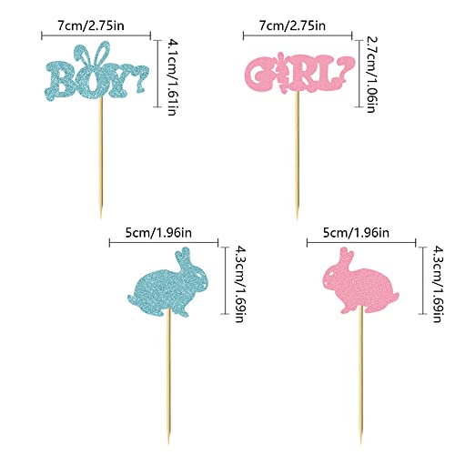 24 Pcs Boy And Girl Cupcake Toppers Blue Pink Bunny Baby Gender Reveal Party Decoration Easter Theme Cake Insert Card Mgpferd #TOP3