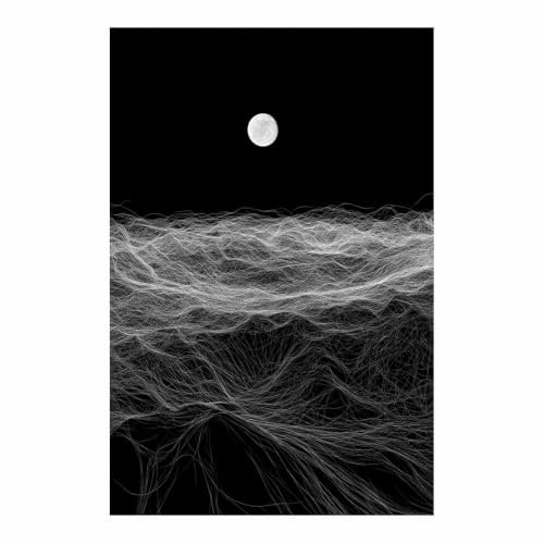 Affiche paysages lunaires en ondes de ligne noir et blanc grand format 70x100cm