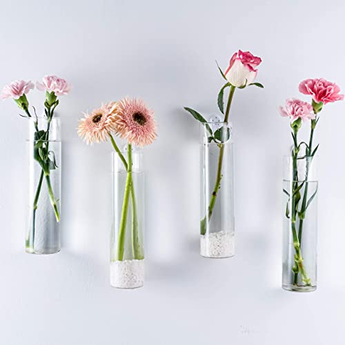 Kingbuy Wall Planter Terrariums Propagation Stations - 2 Cylinder Shaped And 4 Egg Shaped Glass Vases #TOP3