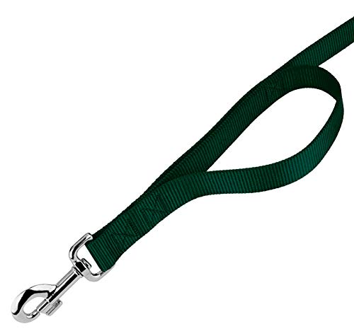 Country Brook Petz - Vibrant 15 Color Selection - Heavyduty Doublehandle Nylon Leash (6 Foot, 1 Inch Wide, Green) #TOP4